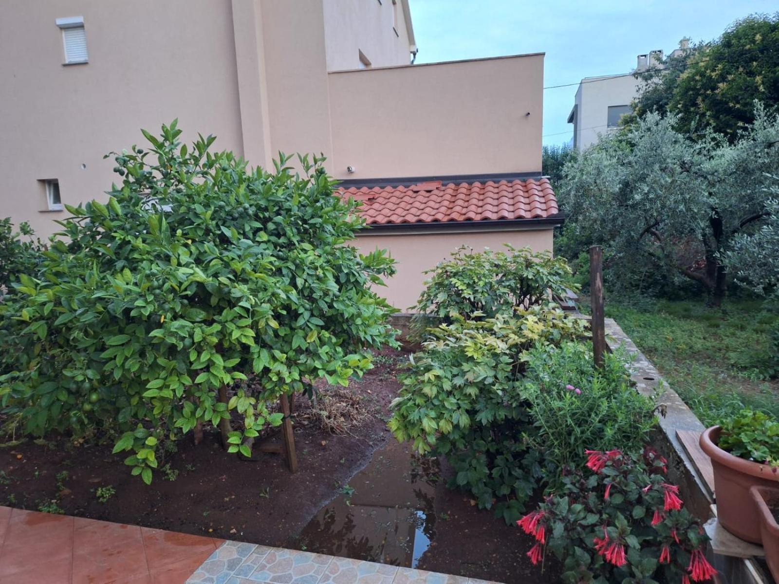 Hana Apartments Zadar Exterior foto